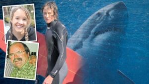 Shark Attack in Australia